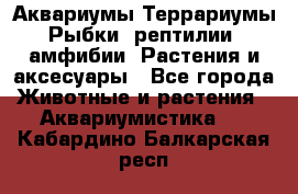 Аквариумы.Террариумы.Рыбки, рептилии, амфибии. Растения и аксесуары - Все города Животные и растения » Аквариумистика   . Кабардино-Балкарская респ.